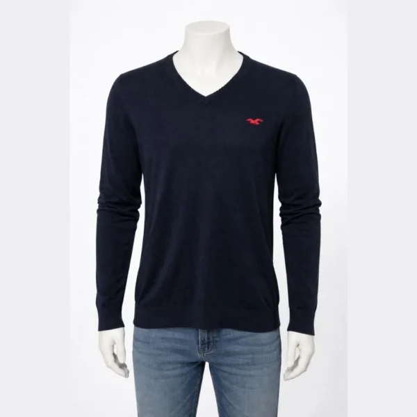 HOLLISTER Men’s V-Neck Sweater