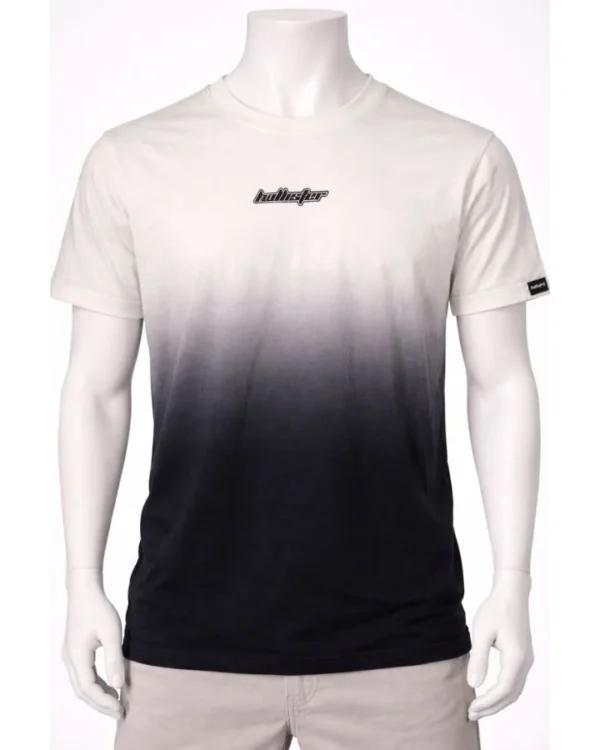 Hollister Men's Ombre Crewneck T-Shirt