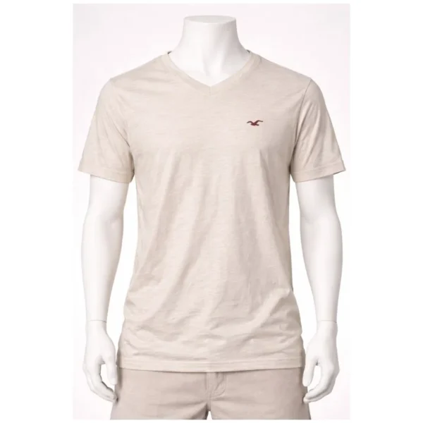Hollister V-Neck T-Shirt