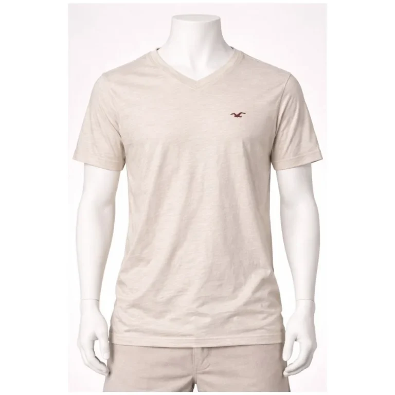Hollister V-Neck T-Shirt